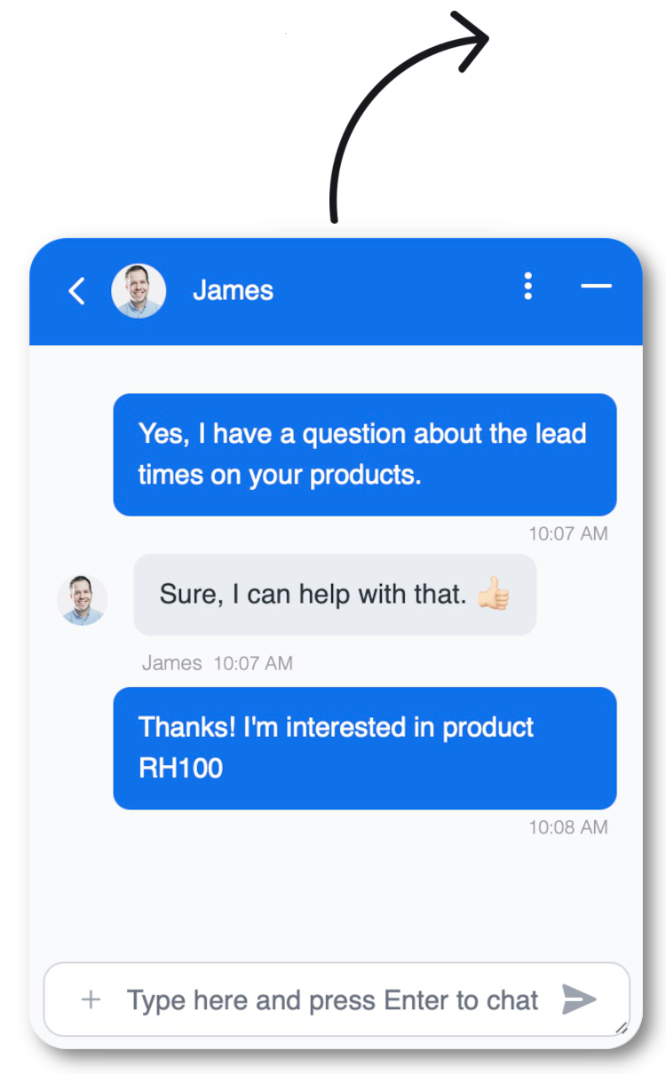 Chatbot Example Chat Widget Screen